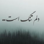 شعر دلتنگی