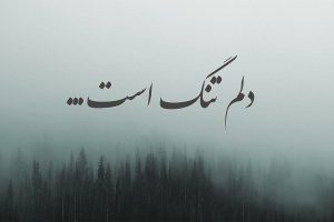 شعر دلتنگی