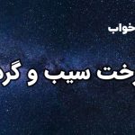 تعبیر خواب درخت سیب و گردو