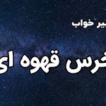 تعبیر خواب خرس قهوه ای