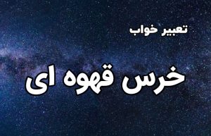 تعبیر خواب خرس قهوه ای