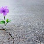 شعر در مورد امید