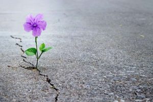 شعر در مورد امید