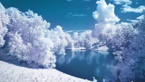 مجموعه شعر درباره زمستان