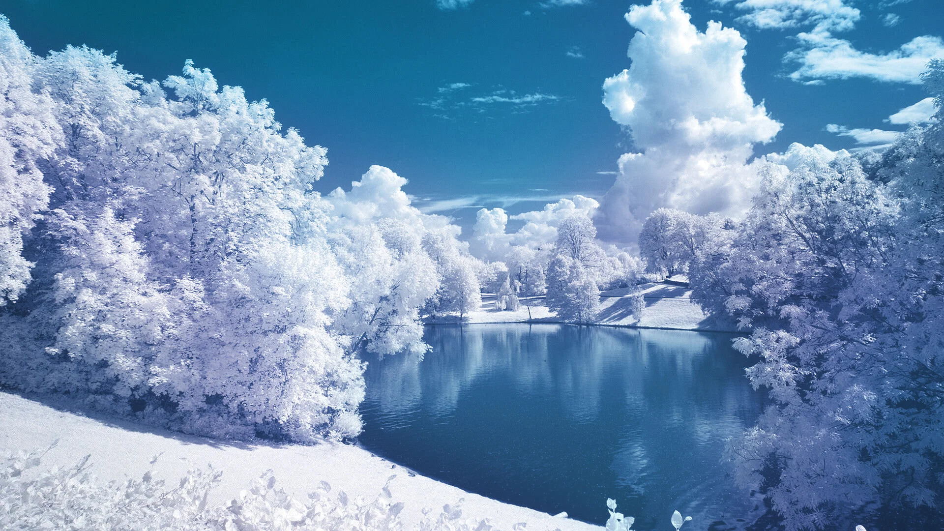 مجموعه شعر درباره زمستان