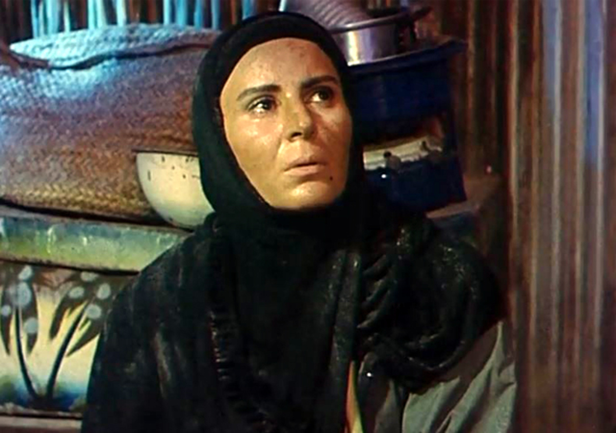 گلچهره سجادیه در فیلم سرزمین خورشید