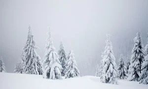 شعر درباره برف