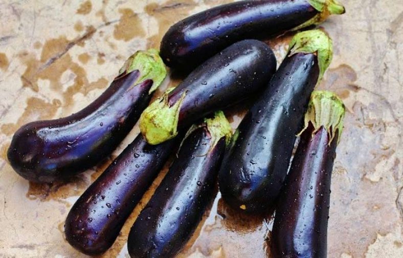 گرفتن تلخی بادمجان