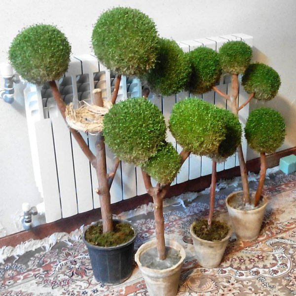 سبزه درختی با لانه
