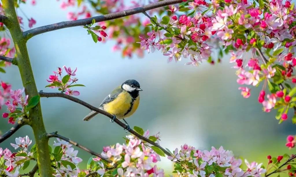 شعر درباره فصل بهار 