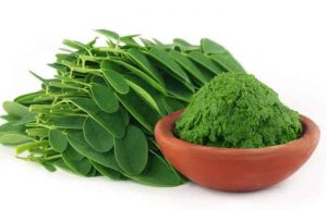 خواص گیاه مورینگا
