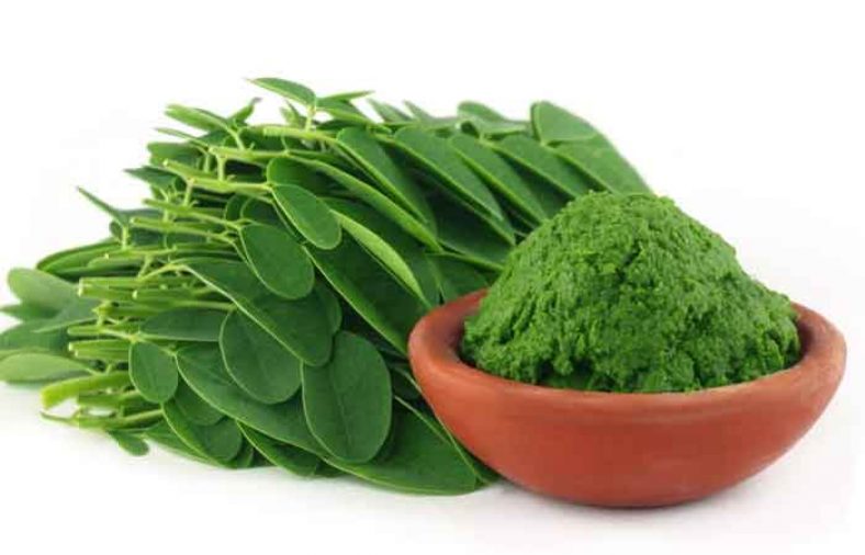 خواص گیاه مورینگا