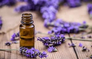 خواص روغن اسطوخودوس