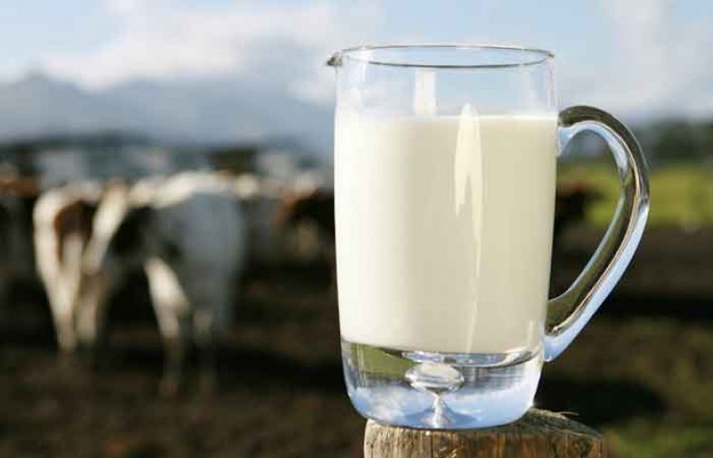 دادن شیر پاستوریزه به کودک