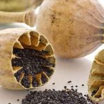 روغن خشخاش