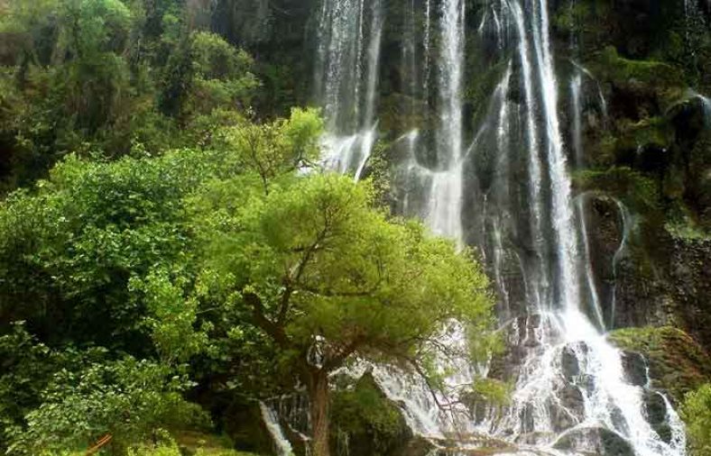 آبشار شوی