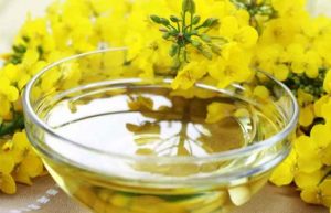 خواص روغن کانولا