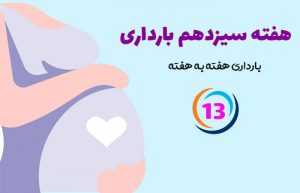 هفته سیزدهم بارداری