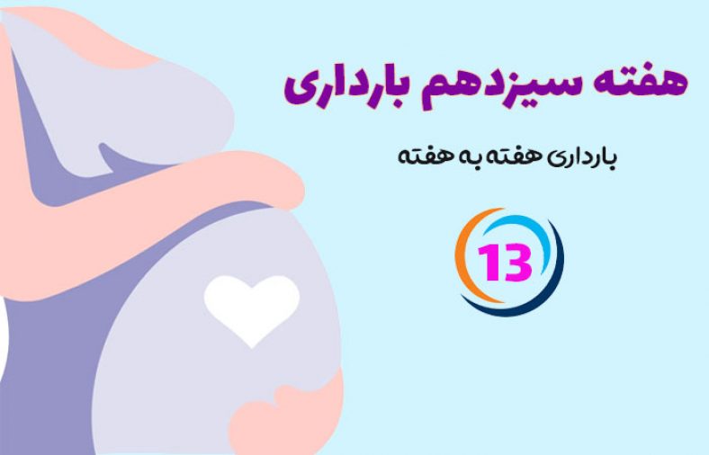 هفته سیزدهم بارداری