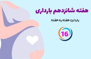 هفته شانزدهم بارداری