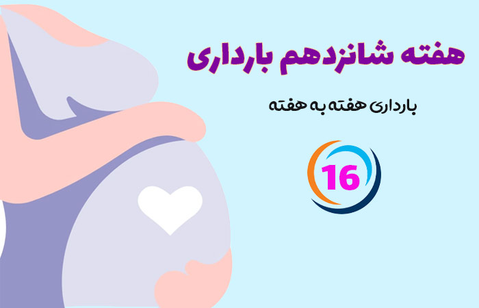 هفته شانزدهم بارداری