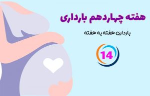 هفته چهاردهم بارداری