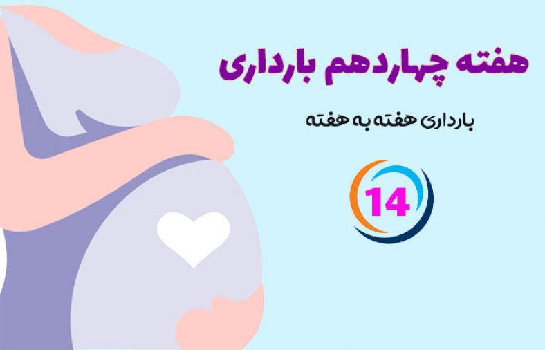 هفته چهاردهم بارداری