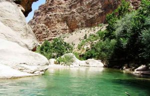 چشمه ناز