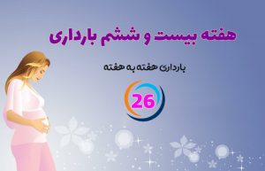 هفته بیست و ششم بارداری