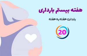هفته بیستم بارداری