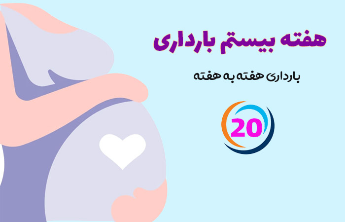 هفته بیستم بارداری