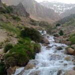 چشمه میشی