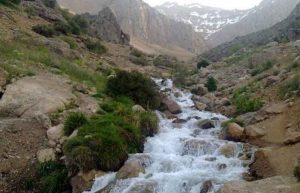 چشمه میشی