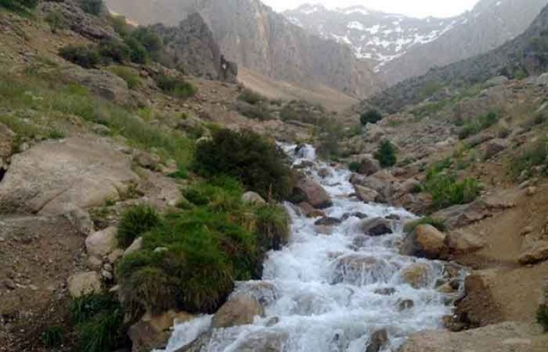 چشمه میشی
