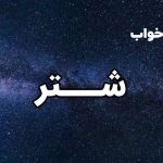 تعبیر خواب شتر