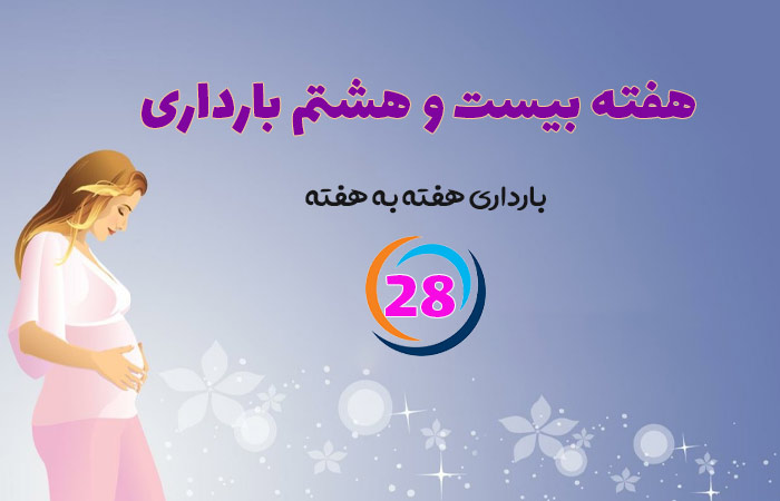 هفته بیست و هشتم بارداری