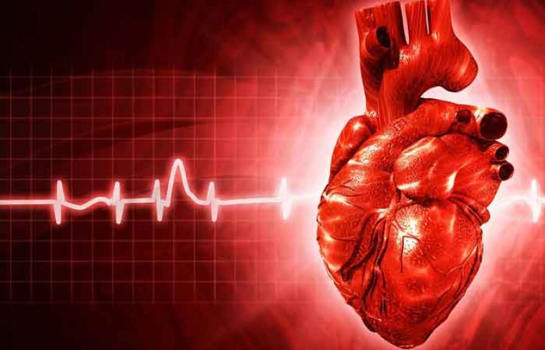 علت ضربان قلب پایین