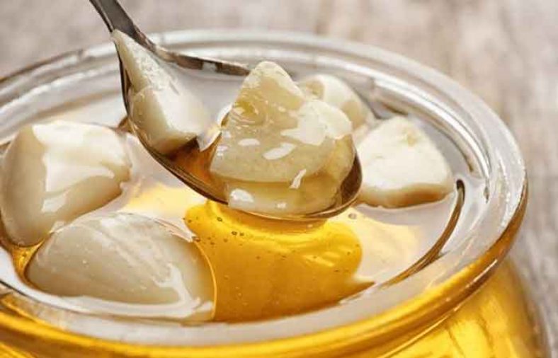 خواص سیر و عسل در طب سنتی