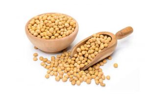 فواید سویا آجیلی