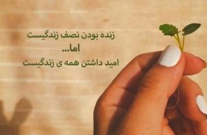 جملات زیبا در مورد زندگی