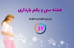 هفته سی و یکم بارداری