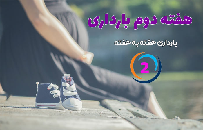 هفته دوم بارداری
