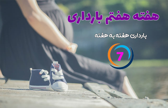 هفته هفتم بارداری