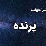 تعبیر خواب پرنده