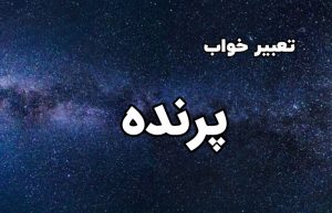 تعبیر خواب پرنده