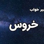 تعبیر خواب خروس