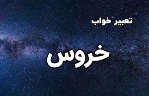 تعبیر خواب خروس