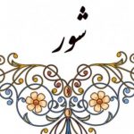 دستگاه شور