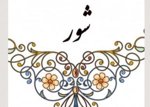 دستگاه شور