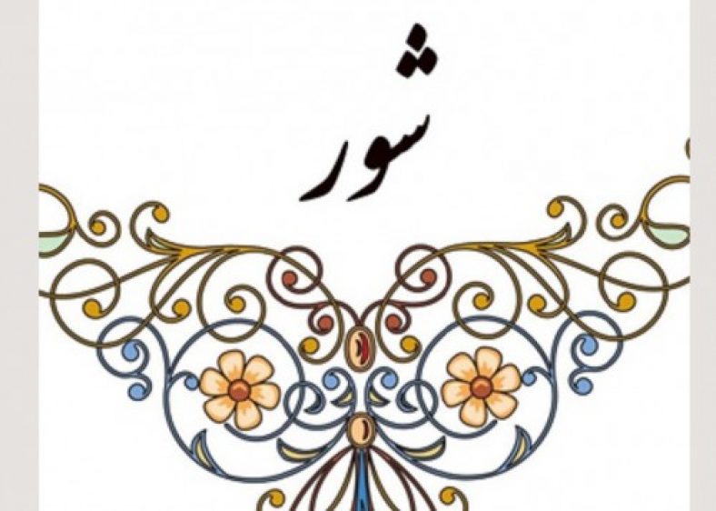 دستگاه شور